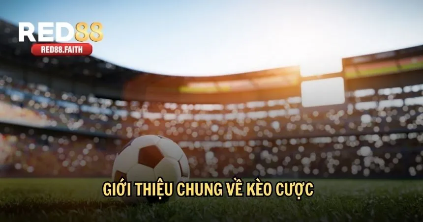 Giới thiệu chung về kèo cược