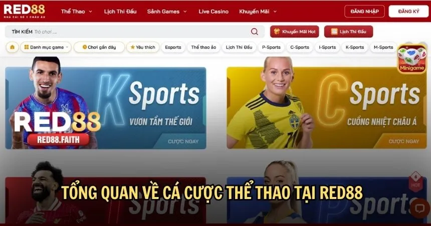 Tổng quan về cá cược thể thao tại RED88