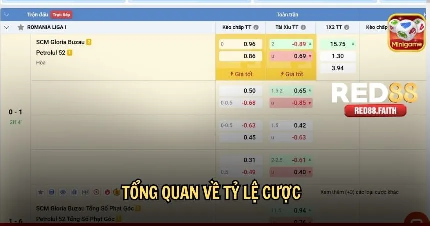 Tổng quan về tỷ lệ cược
